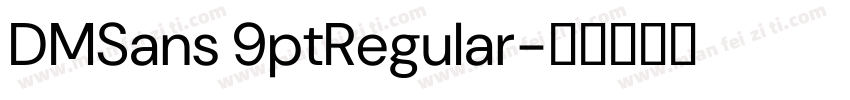 DMSans 9ptRegular字体转换
